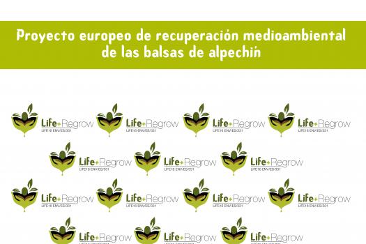 Banner Life Regrow (80x200cm)