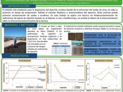 Poster CIAIMBITAL 2019