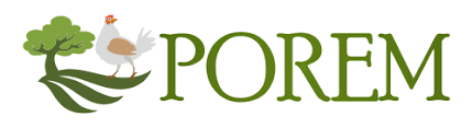 Logo_Porem_OK.png (7 KB)